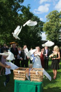 Lassen Sie die weißen Tauben zu Ihrer Hochzeit steigen